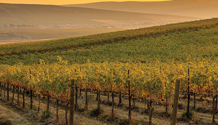 Washington's wine industry is celebrating the shipping revival in early 2021

