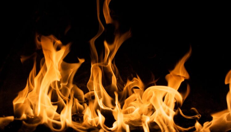 2 dogs killed in duplex fire in Spokane Valley

