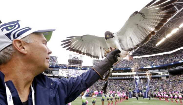 Seattle’s live seahawk mascot goes off course before game, lands on fan’s head – FOX23 News