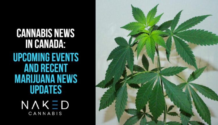 5 cannabis companies to review this year

