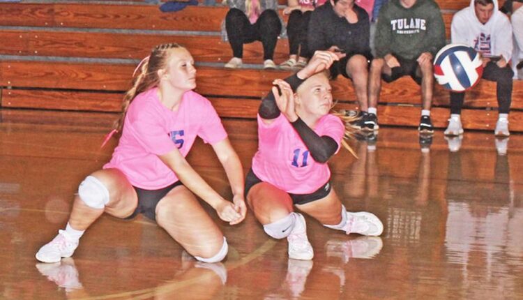 Bedford spikers top Everett for second time | Local