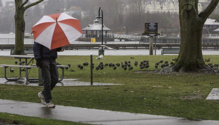 4 rain systems set to reach Western Washington this week with 'measurable rain every day'