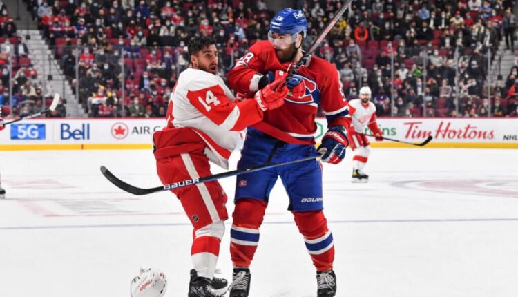 Ten thoughts on the Red Wings after 10 games - The Athletic

