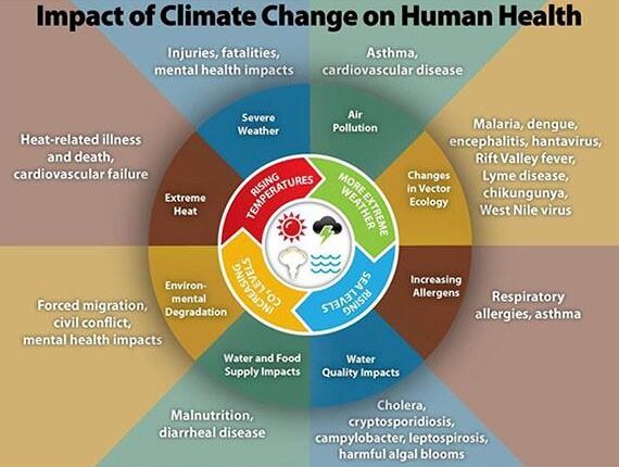 Health politicians call for adaptation to climate change during the forum

